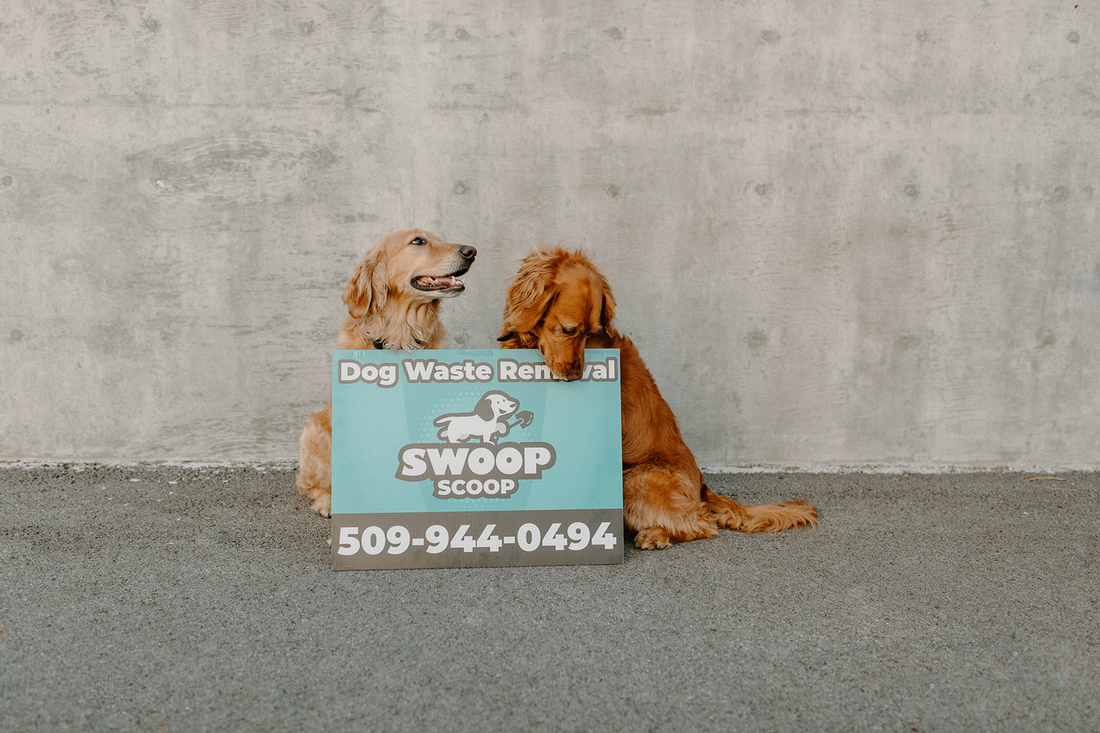 Swoop Scoop | Spokane WA