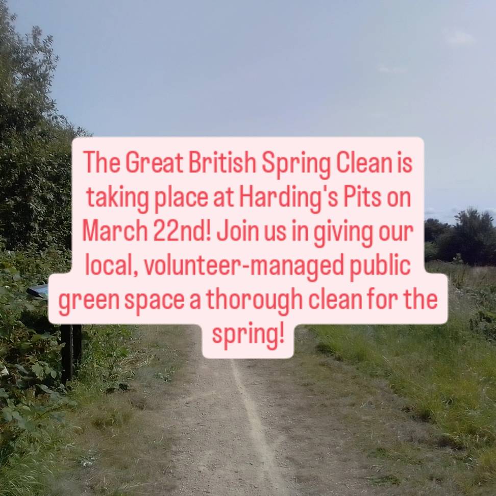 Harding's Pits Doorstep Green | King's Lynn