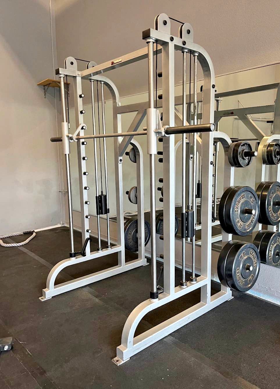 Pro-Form Carbon Smith Machine - Weight Lifting Machines & Racks - Reno ...