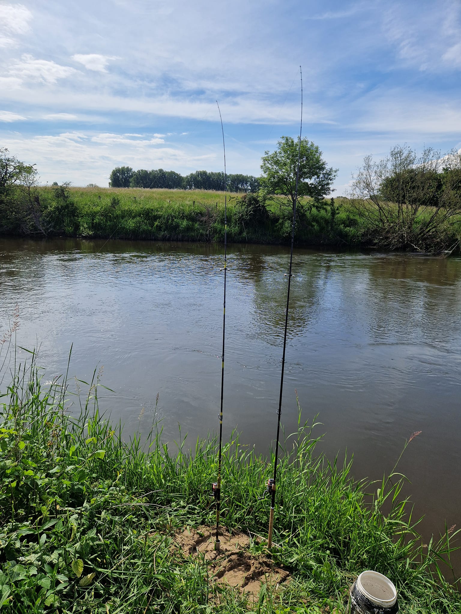 Fishing Rats