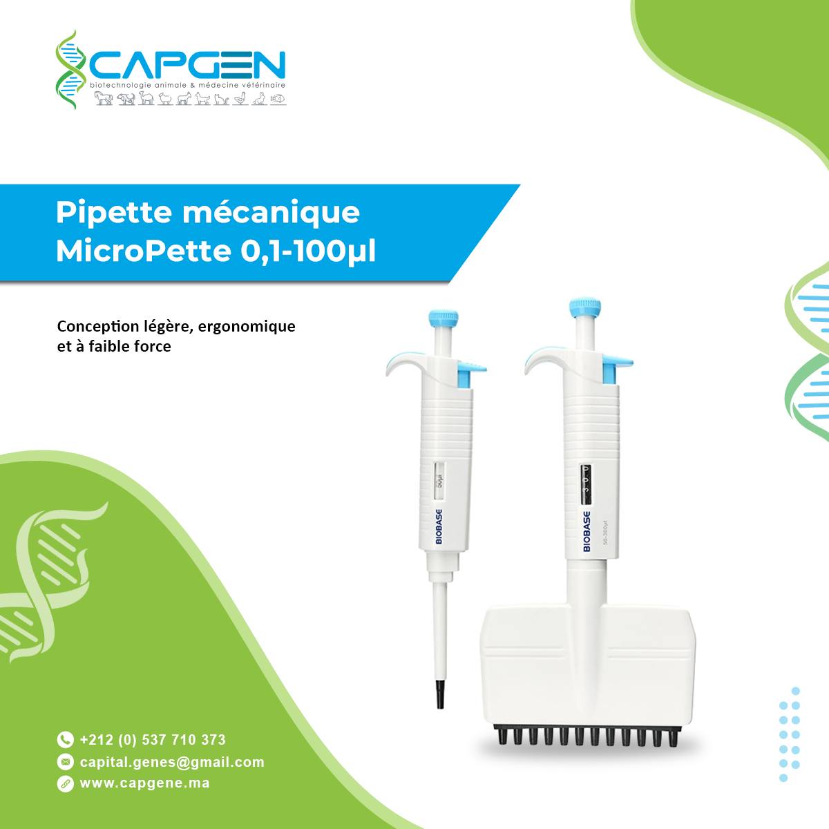 Capgen Capital Genes | Rabat