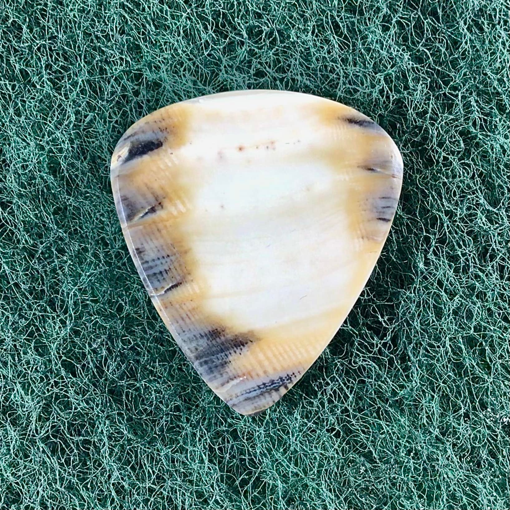 Beachsidepicks