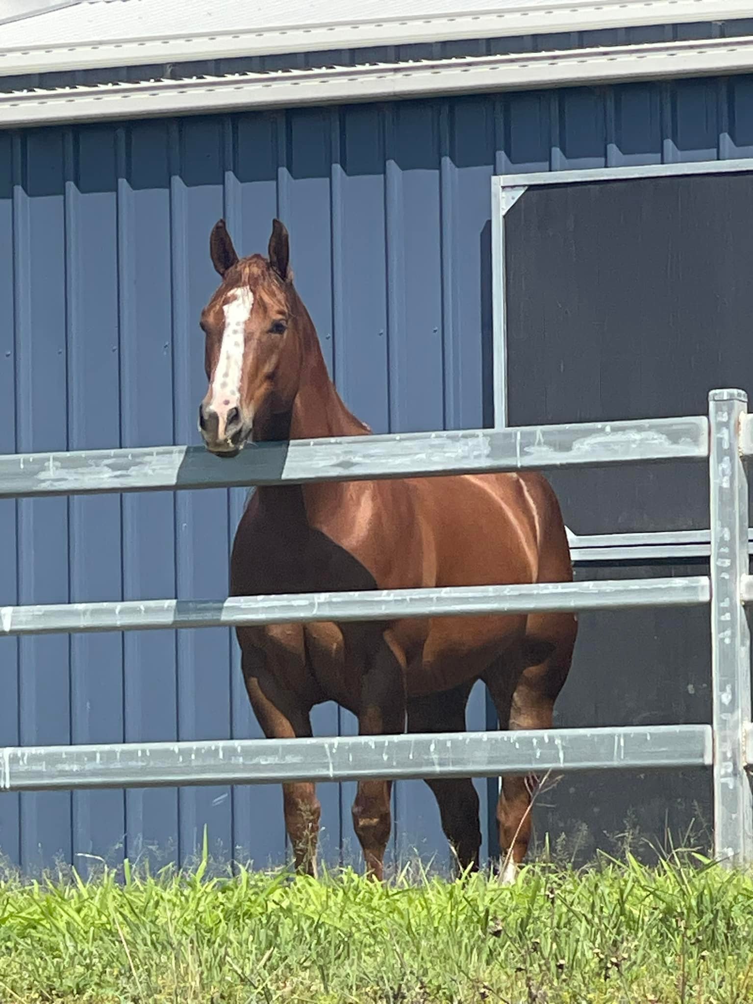 Stone River Ranch