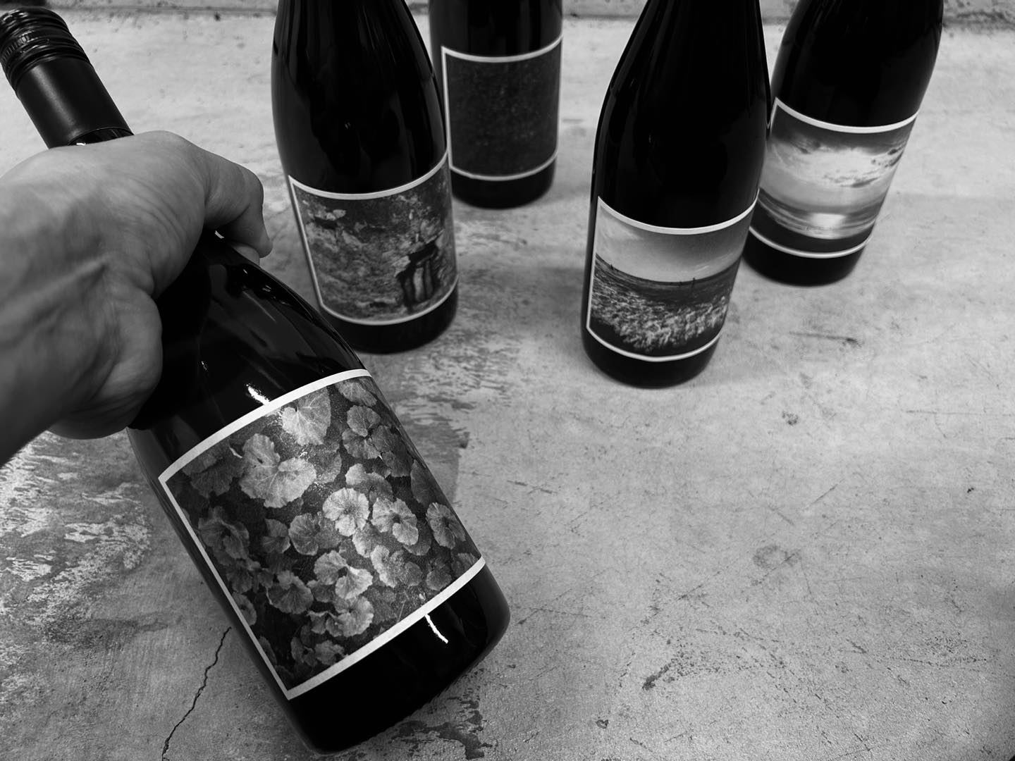 Aperture Farm and winery Black and White label ワイン会員様へ 2023 
