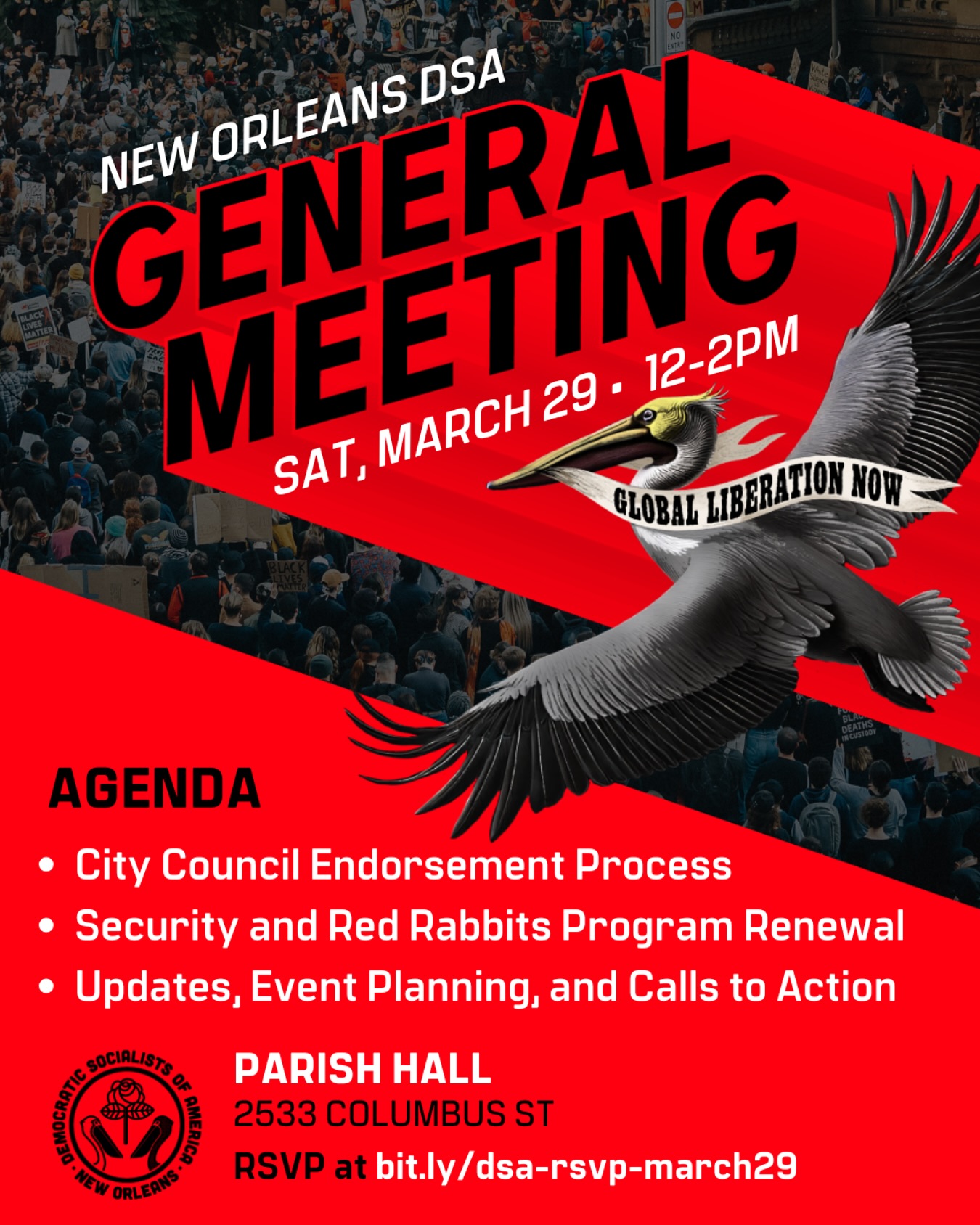 New Orleans Democratic Socialists of America
