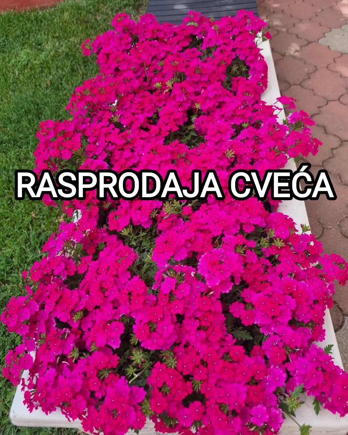 JPA Rasadnik | Ruma