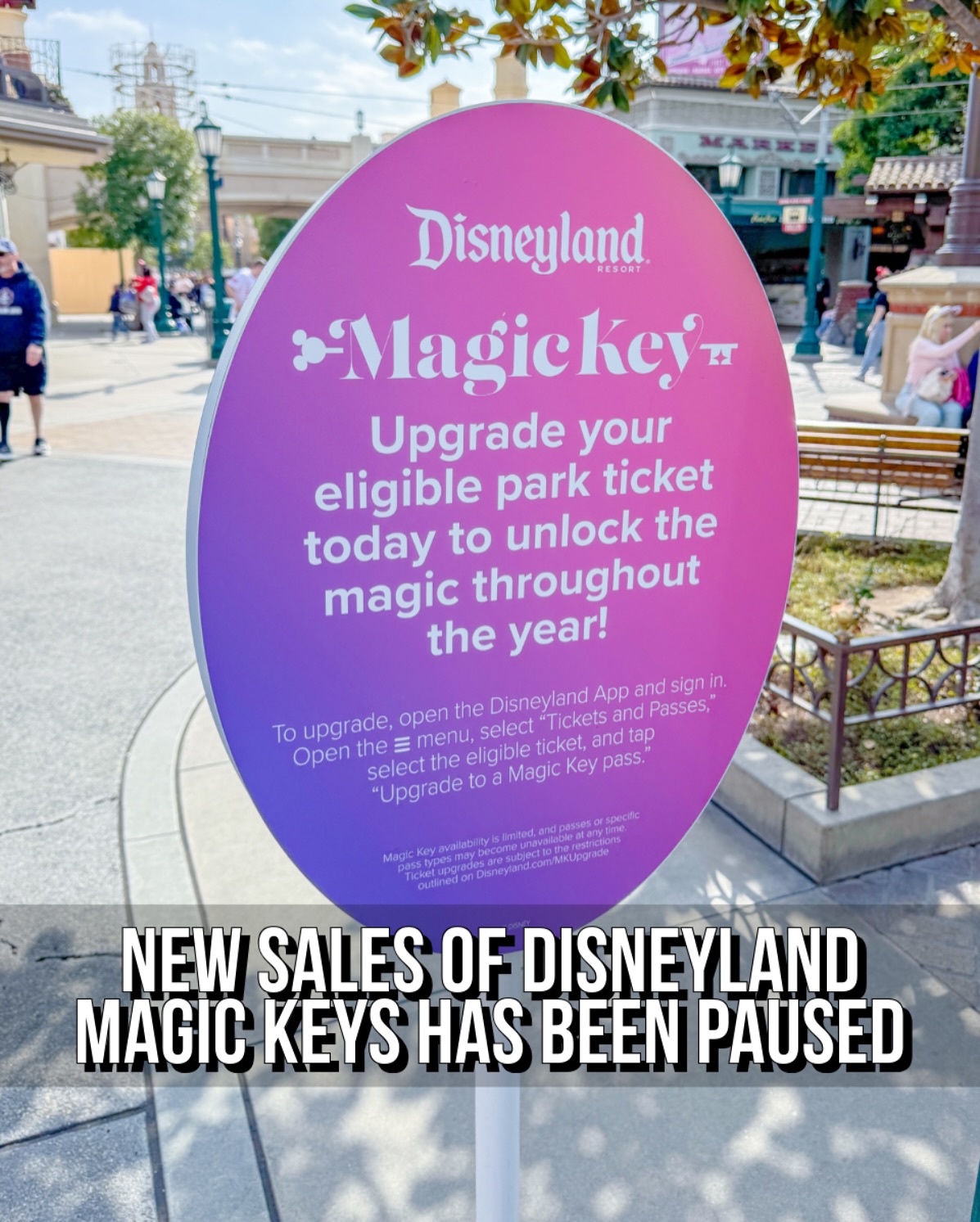 Code - ‼️ NEW MAGICKEY SALES HAVE BEEN PAUSED ‼️ For quite some time ...