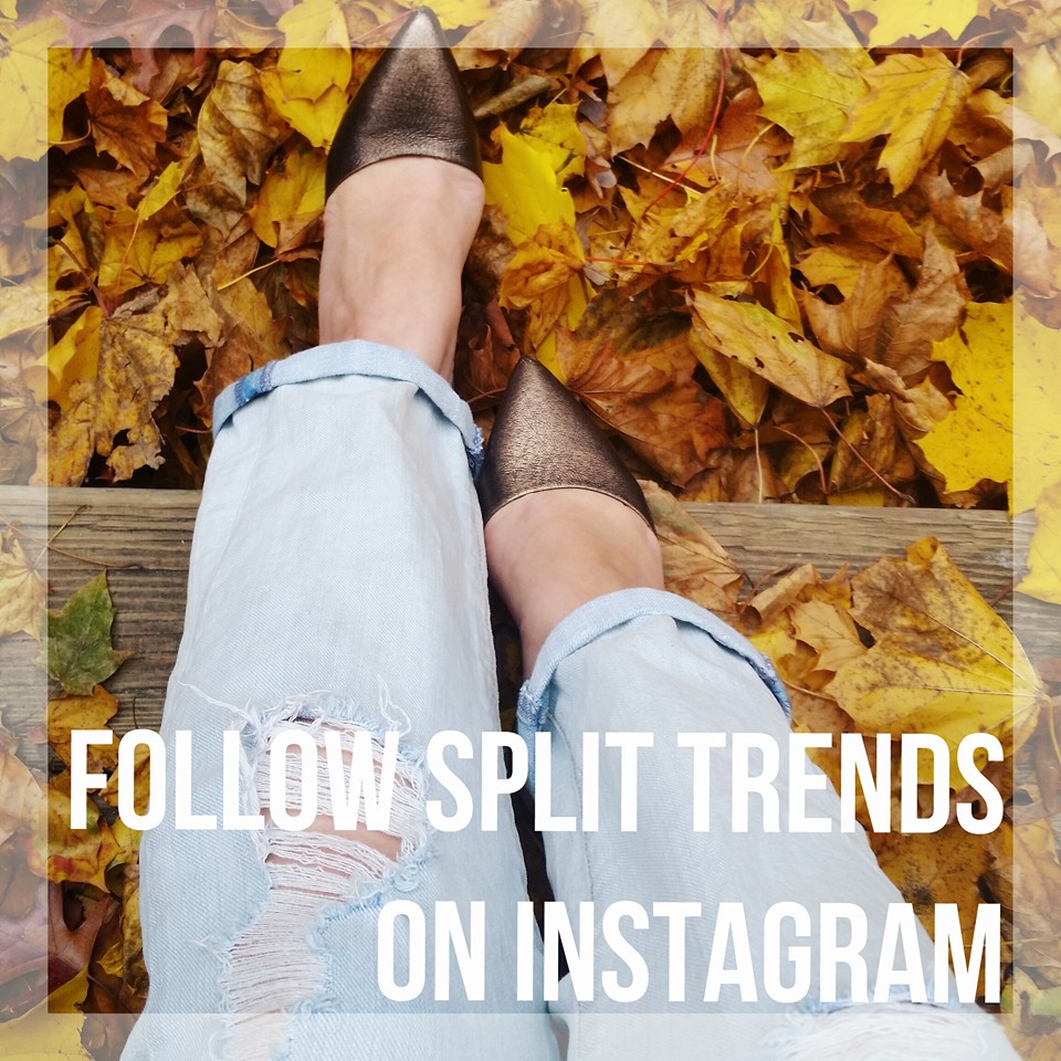 Split Trends