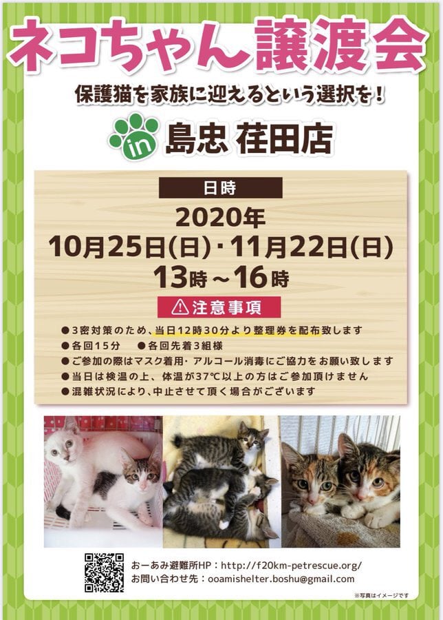 犬猫シェルターおーあみ避難所 10 25 日 は 島忠荏田店様での猫さん譲渡会です みなさん よろしくお願いします 詳細については 下記リンクの ブログをお読みくださいませ Https Ameblo Jp Oami Hinanjyo Entry 12633007586 Html Facebook