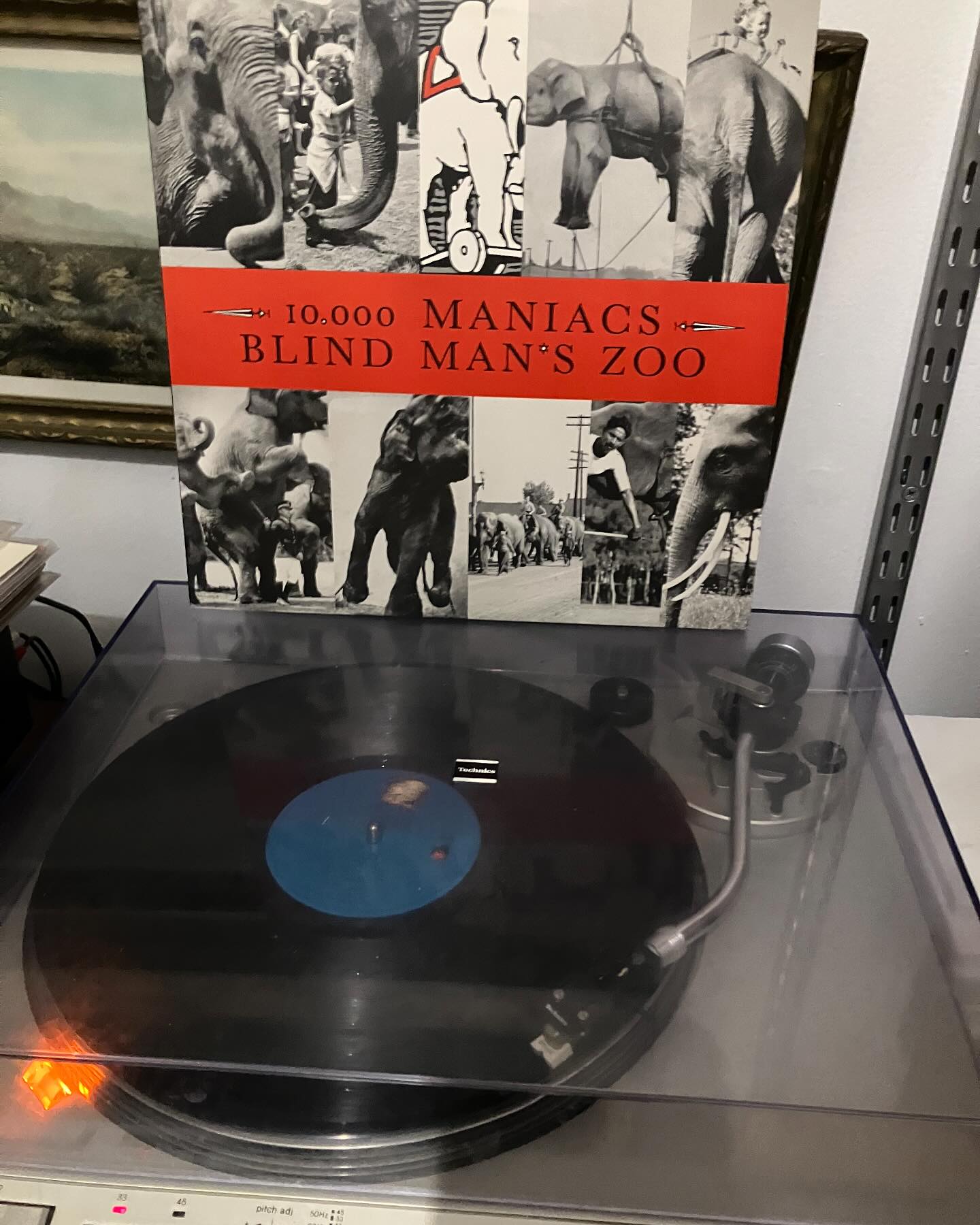 10,000 Maniacs