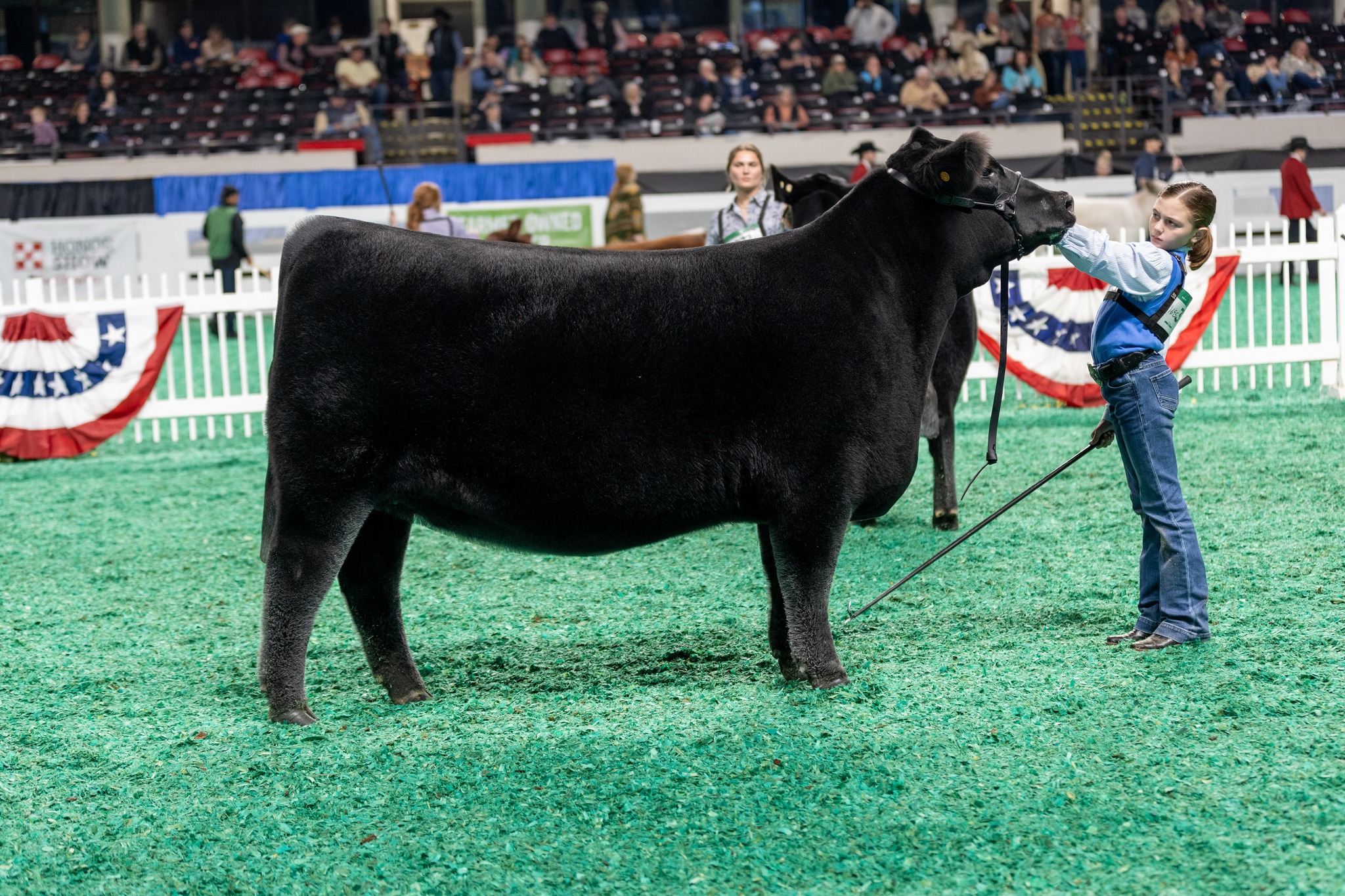 The 2024 NAILE Super ROV... - American Angus Association