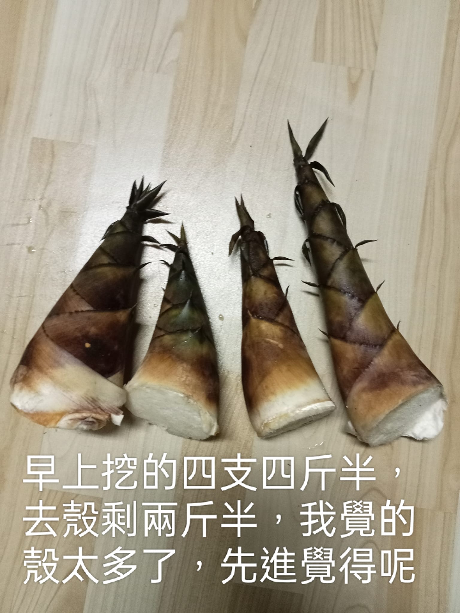 假日分享先進早安，我種甜龍筍剛滿五年了，之前是綠竹筍，是我爸種的約