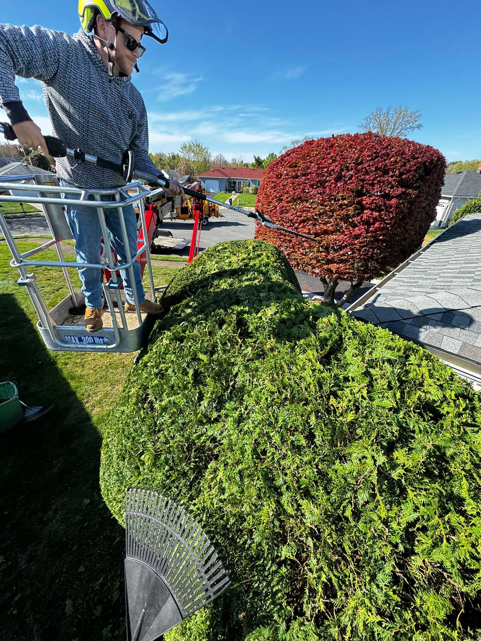 Arbor Rich Tree Service Toms River NJ, Brick NJ and Surrounding Areas ...