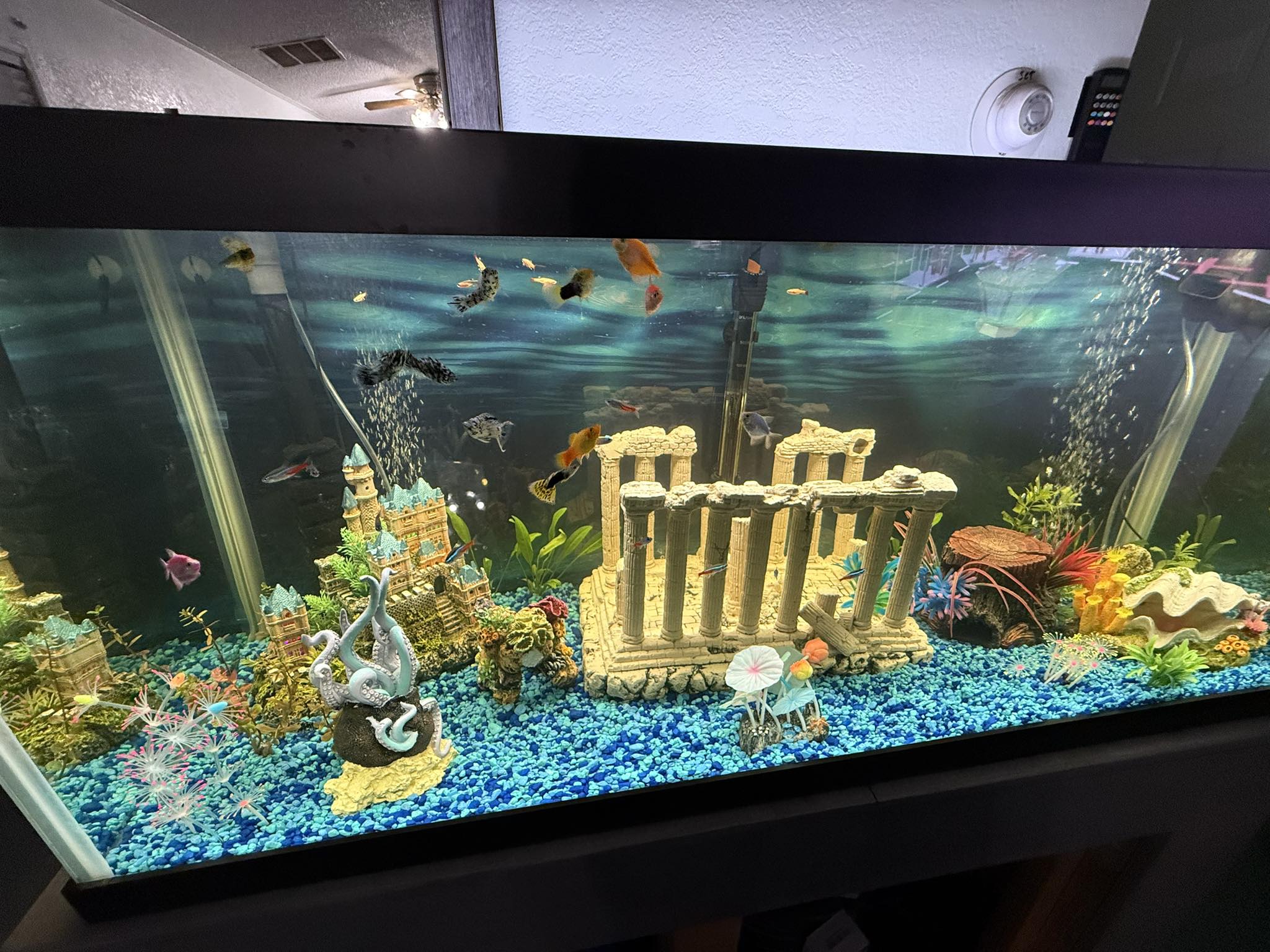 fish tank accessories for bullhead Aquarium Decorations Set, Decor with Artificial Plants and Resin Ornaments, Betta Fish Tank Small Tanks, Soft Safe Plastic Plants with Hideout Cave Dcor(Ornaments set #2) and makes a wonderful backdrop for a more subdued color scheme Bullhead Rig - Meter Fishing