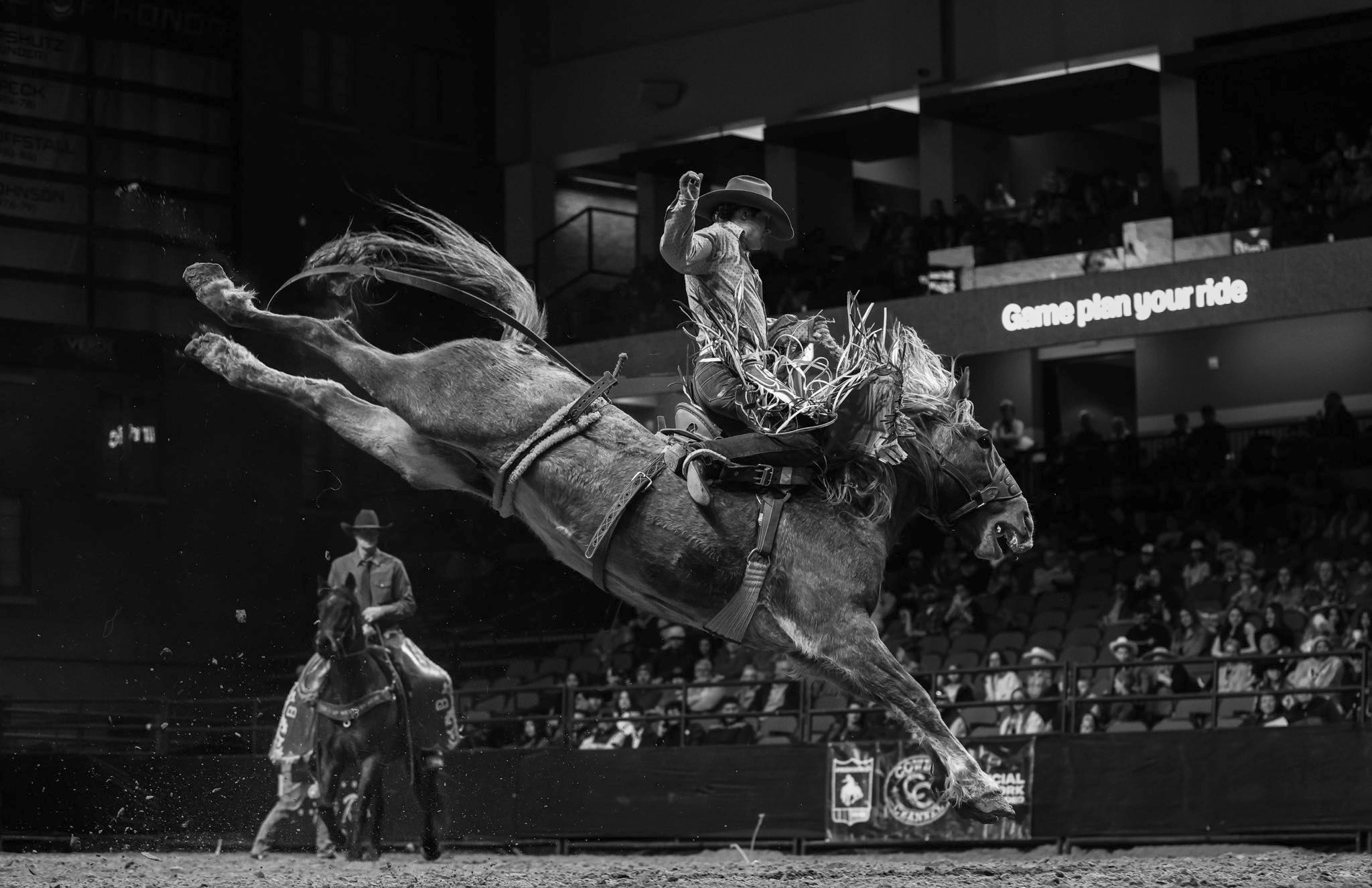 Wild Rodeo Photography by Blake Monroe