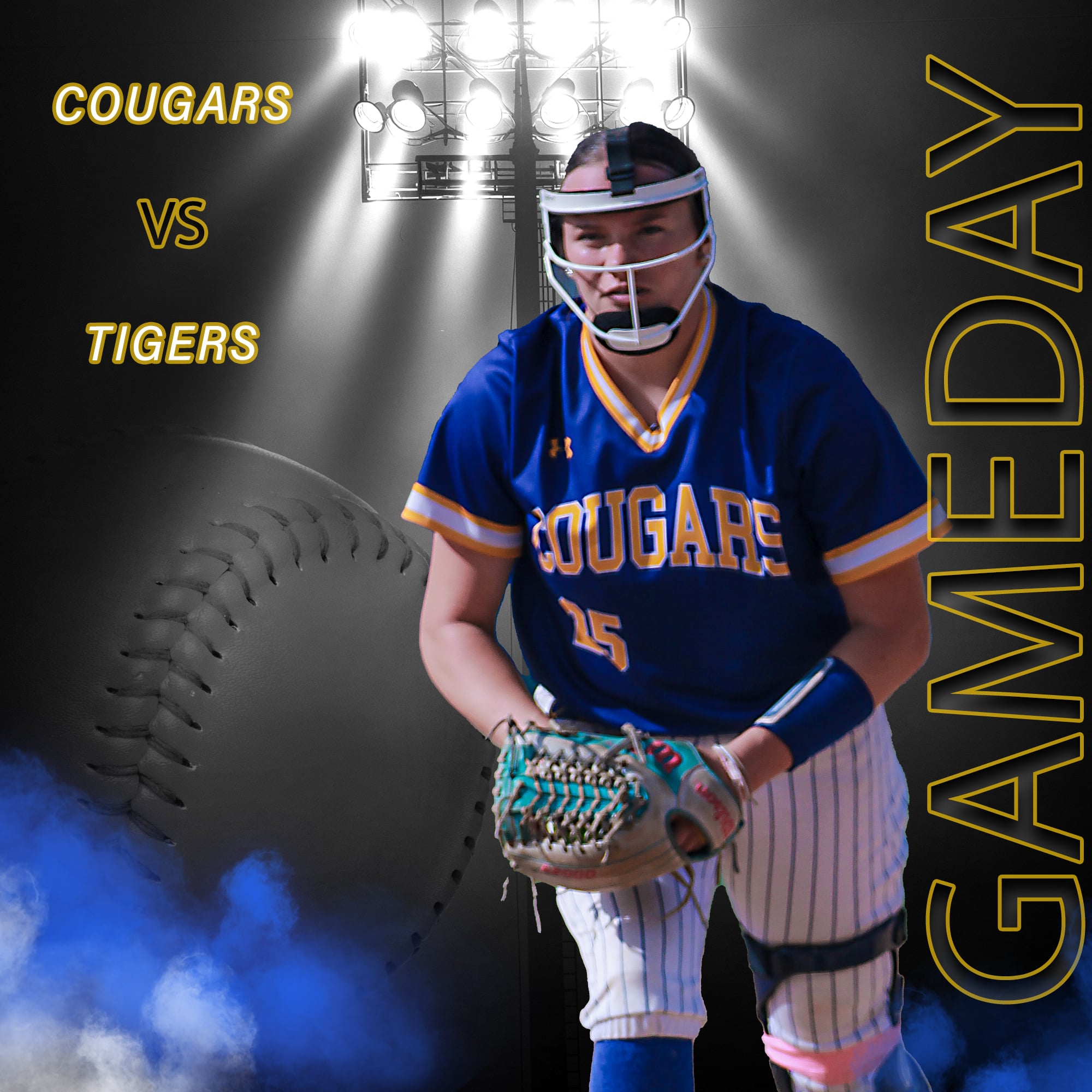 Valley - Listen live today to the PIAA Class 4A Softball Quarterfinal ...