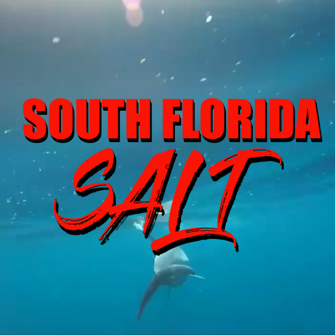 How to tie braid to mono #fishing #fish #saltwaterfishing #southflorida ...