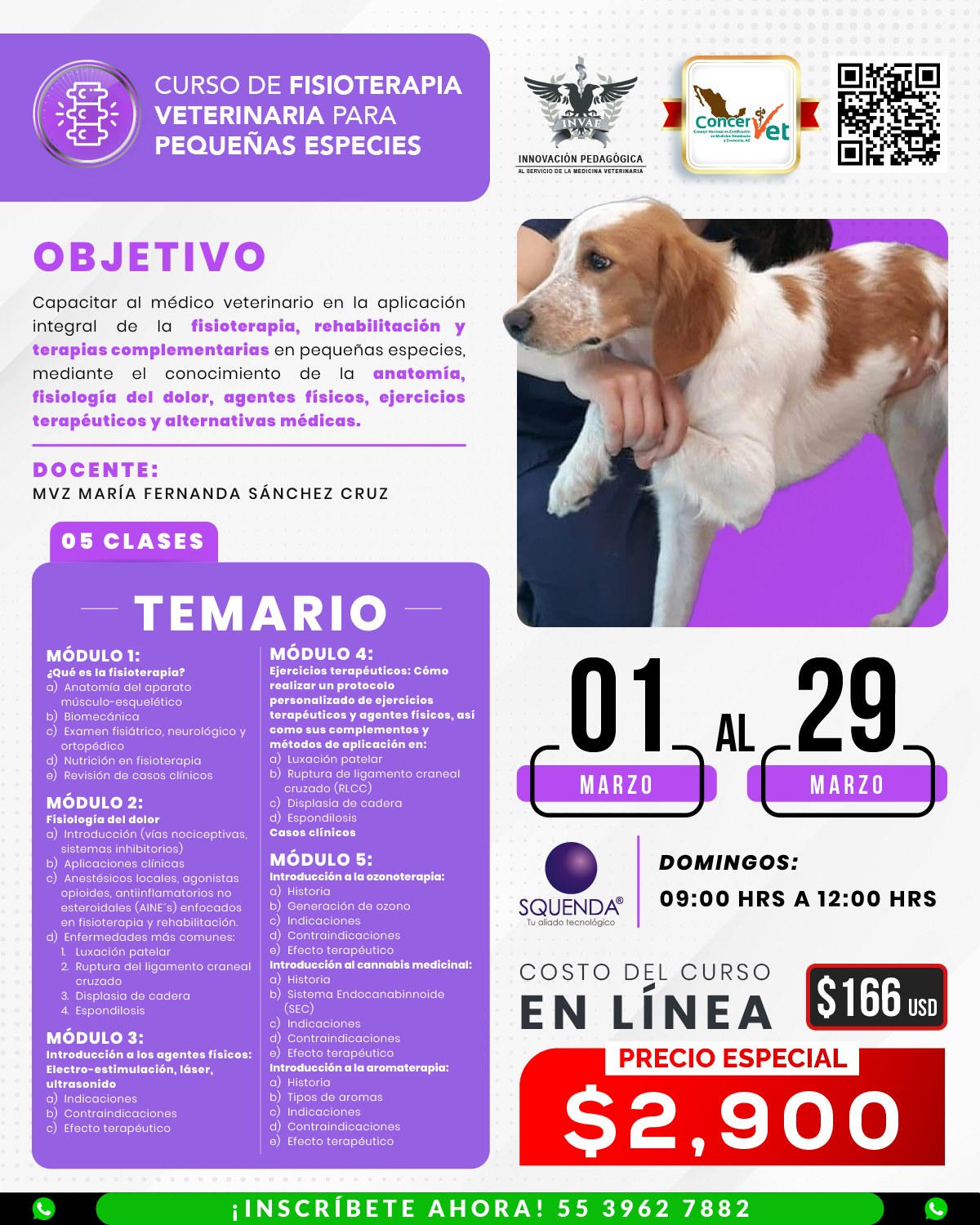 INVAE - Actualízate en los principales procedimientos quirúrgicos en ...