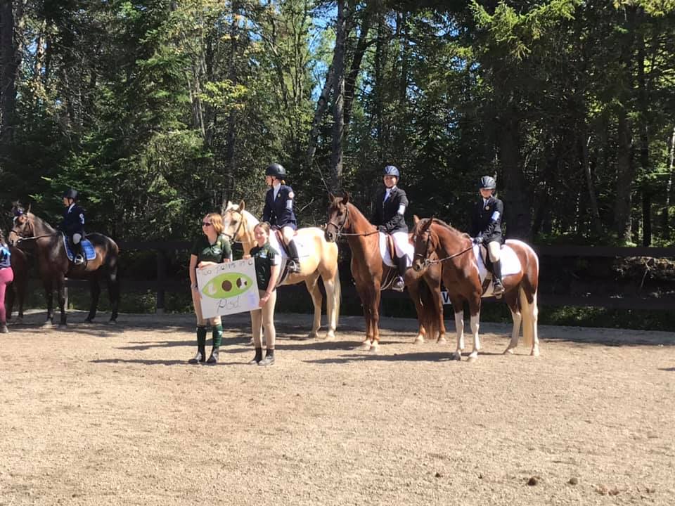 Hampton Riding Centre added a new... - Hampton Riding Centre