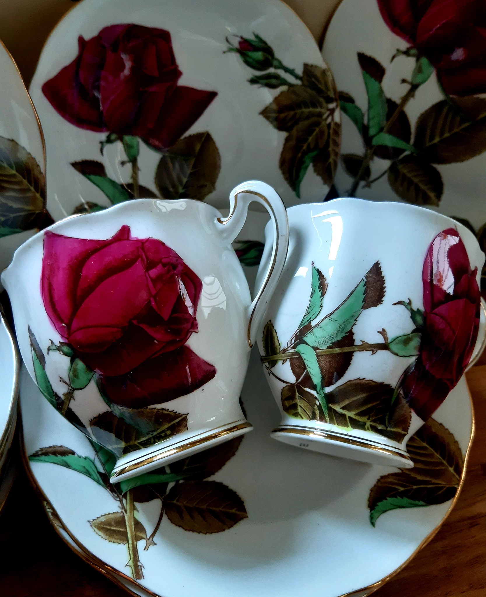Best 23 piece dinosaur tea set with Royal Stafford bone china