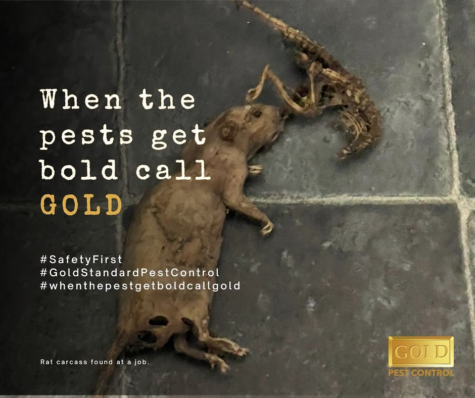 GOLD - This customer had been suffering and living with rat activity ...