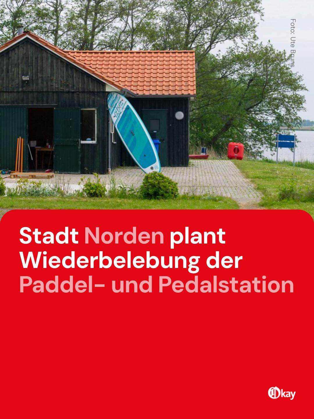 hängematte drinnen mit Schaukelseil, für und draußen, robuste Baumwolle, max. 130 kg, Hängematte für Schlafzimmer, Terrasse, Veranda, Khaki Wilbur (Hyperion and Meathead system pedals Melon - Urban Active - Größe:M - L (52 - 58 cm)