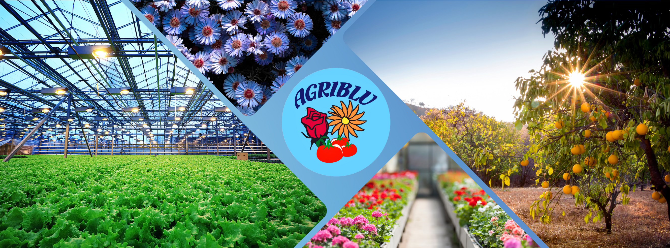 Agriblu di Blundetto Srl