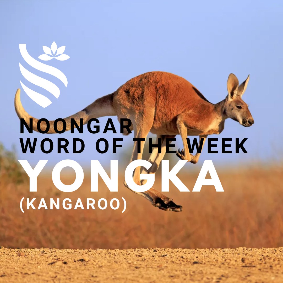 Our Noongar word of the week... - Dianella Secondary College