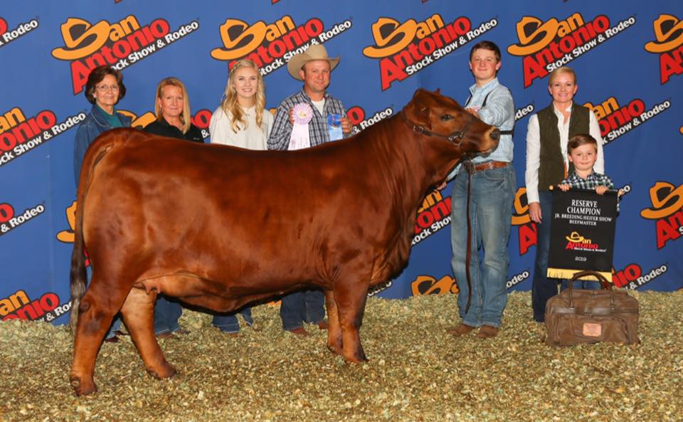 CF BeBe is your 2019 RESERVE... - Collier Farms Beefmasters | Facebook
