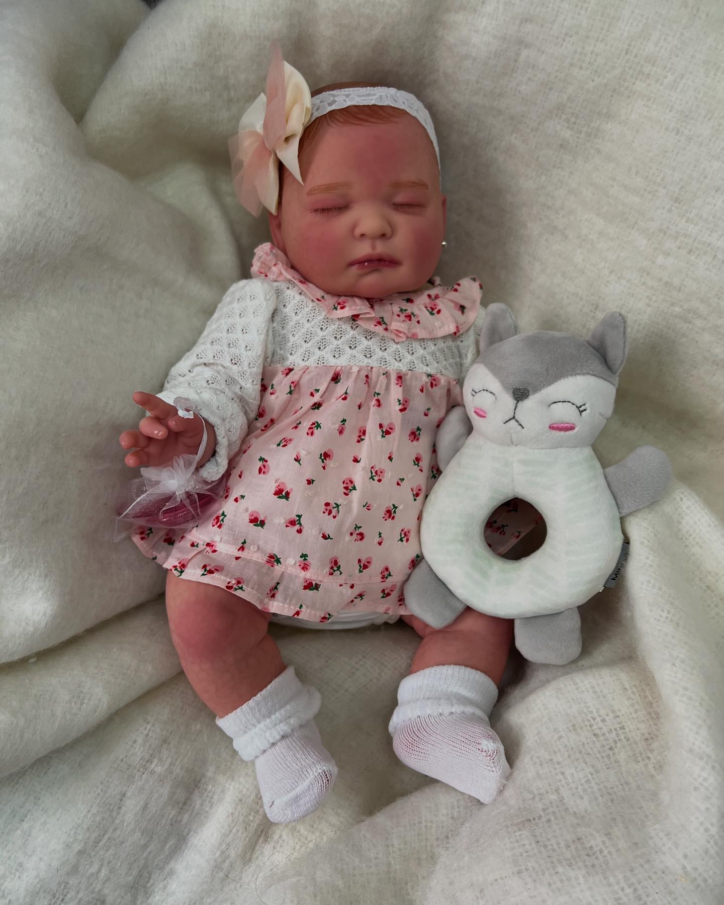 Mi Bebé Reborn México