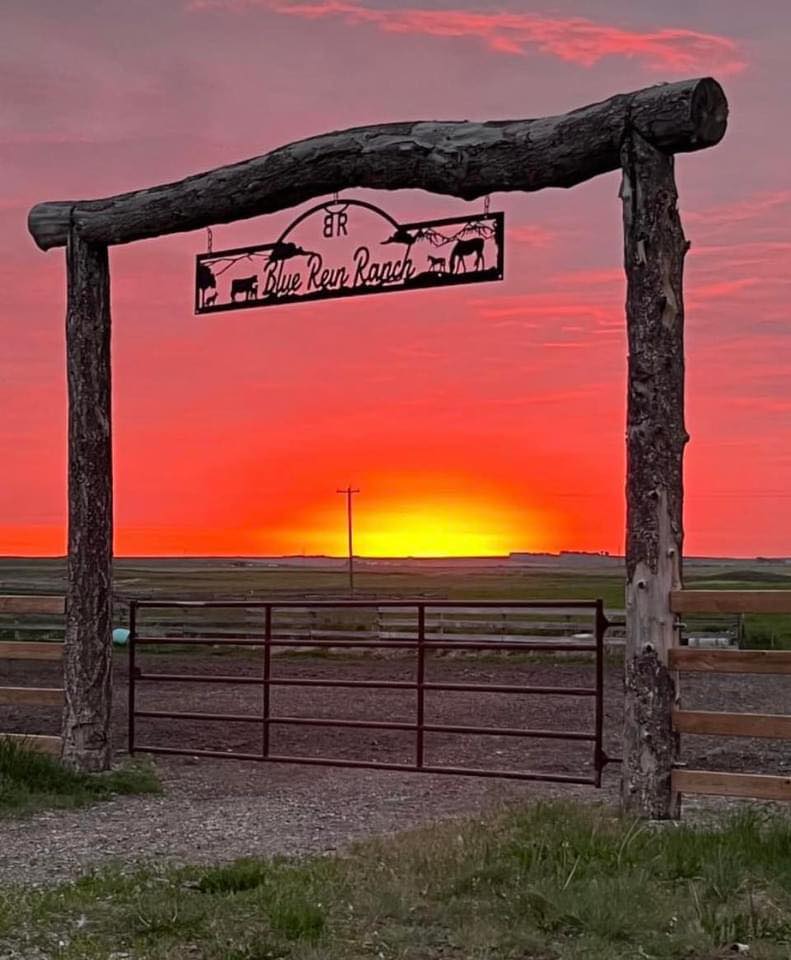 Blue Rein Ranch Counselling & Animal Assisted Therapy | Fort Macleod AB