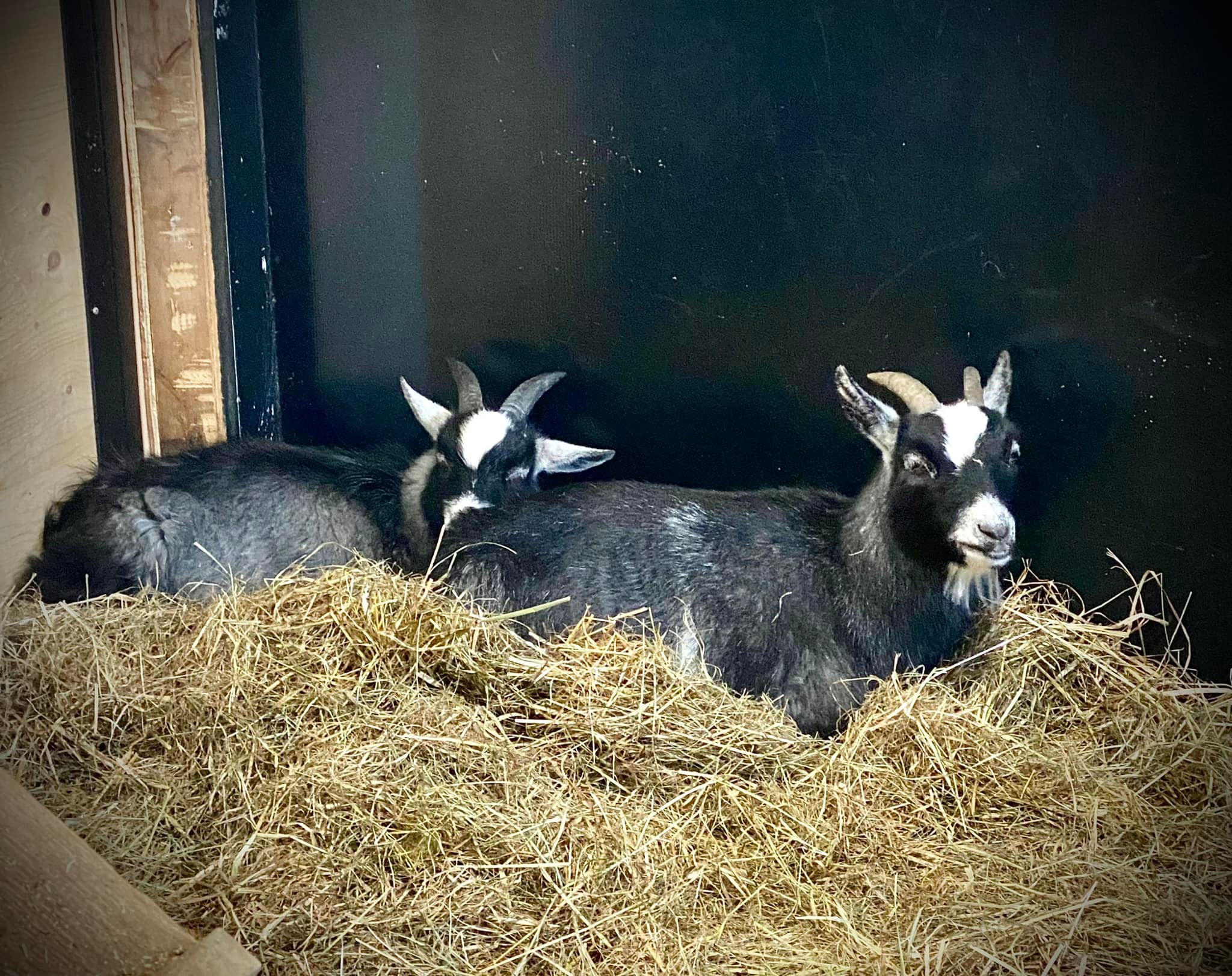 Four Crows Ranch