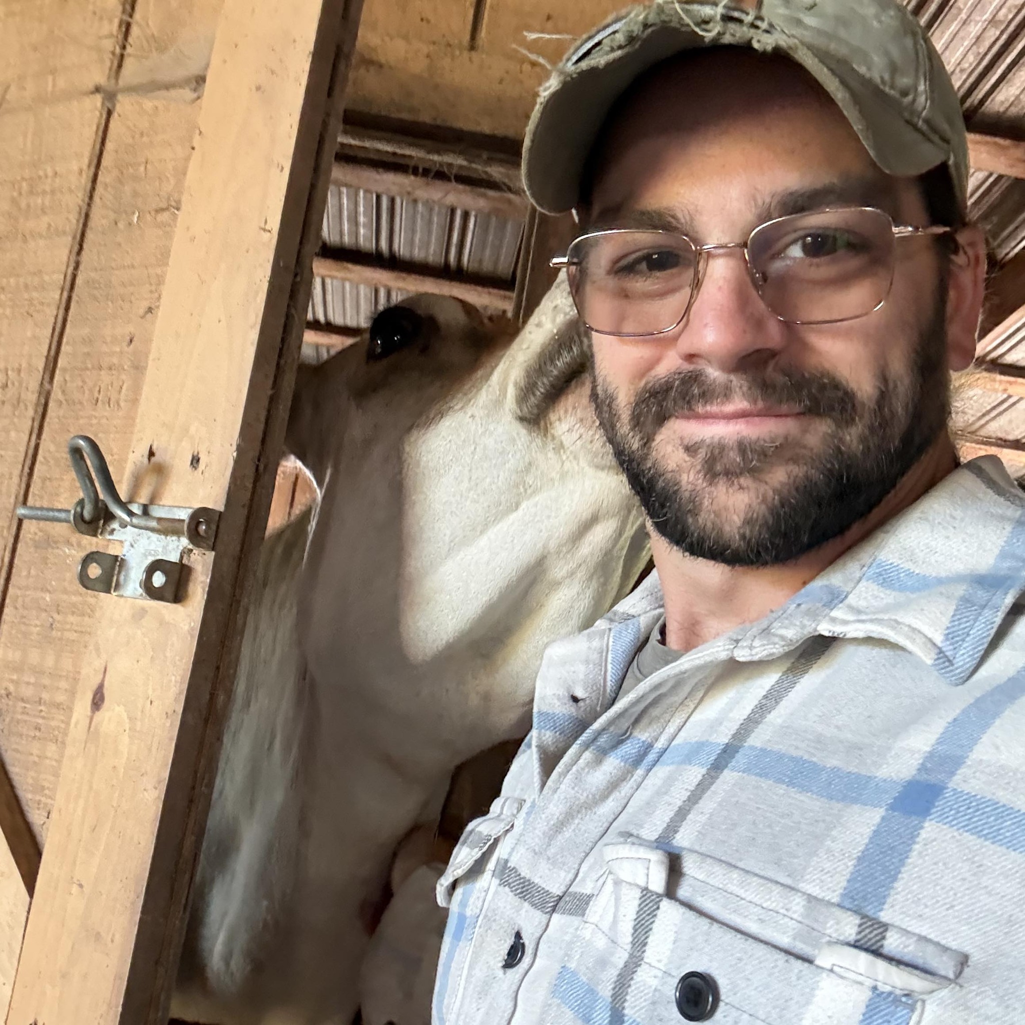 3 for sale! Pure bred manga... - Andrew Calvin Winburn | Facebook