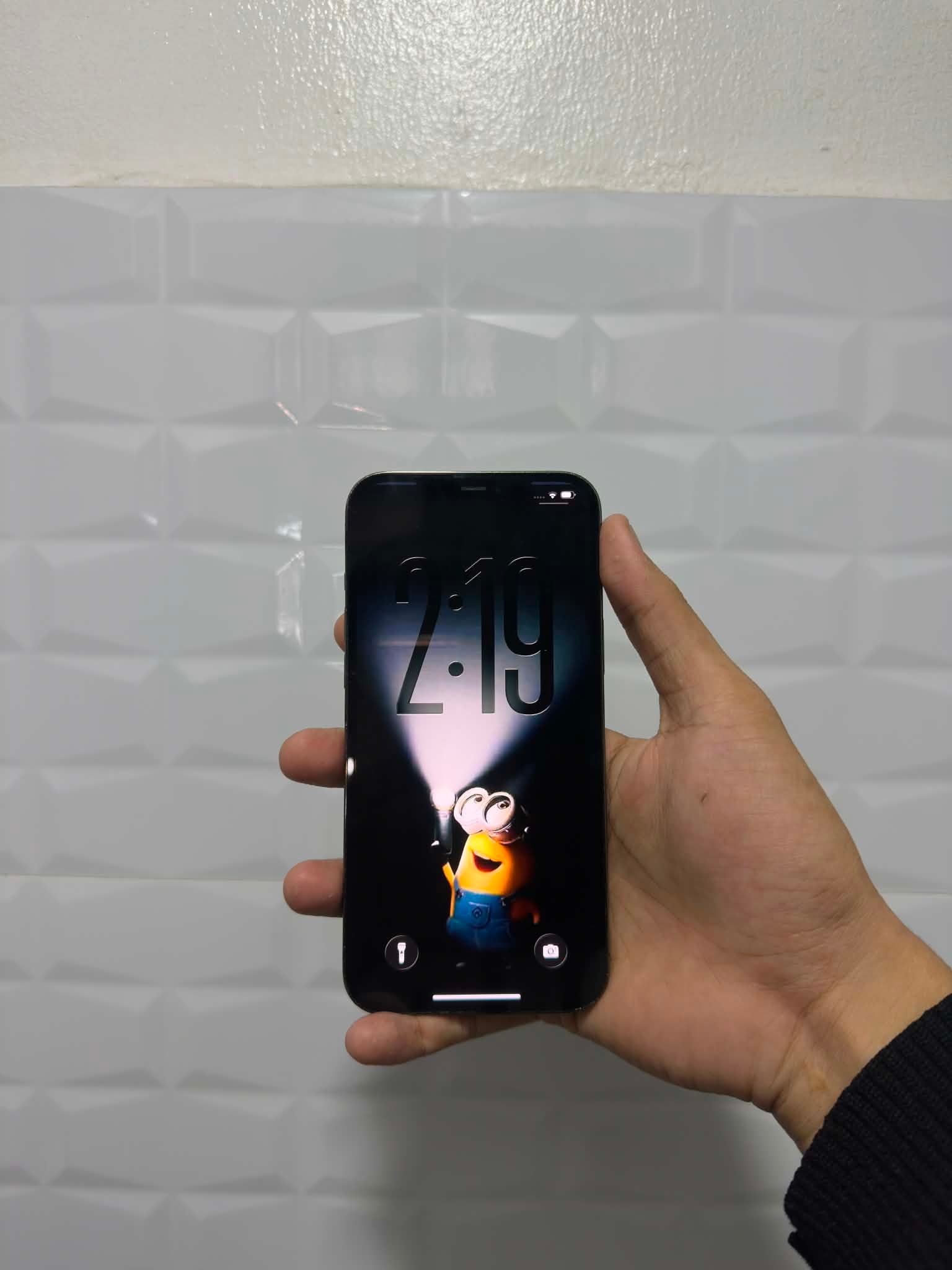 IPHONE 12 PRO MAX | 256GB • 100% smooth • 76% battery health 