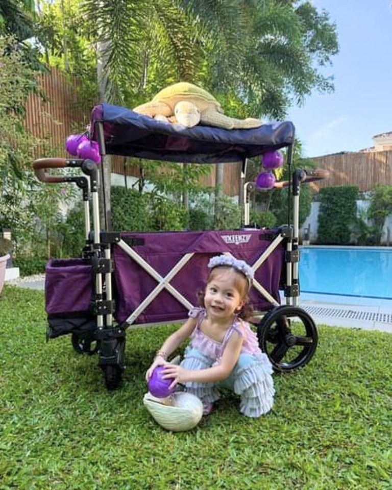 summer infant monitor 2.0 Connect Plus Internet System cybex-525t-treadmill-remanufactured Color:Carbon Steel Baby Bugaboo Buffalo Snack peace of mind