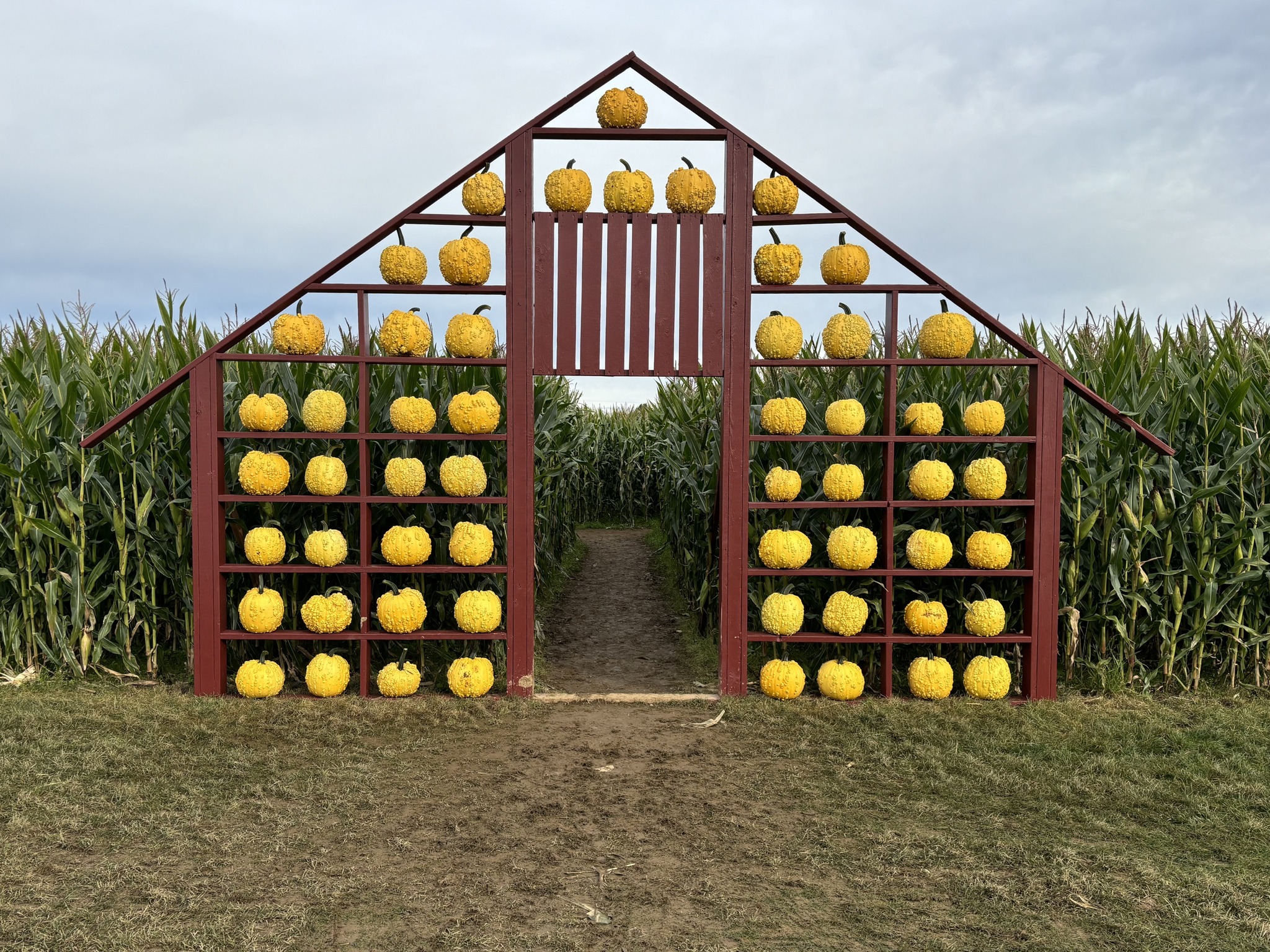 Chapman Farms | Montesano WA