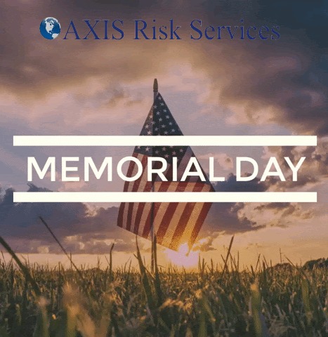 AXIS Risk Services