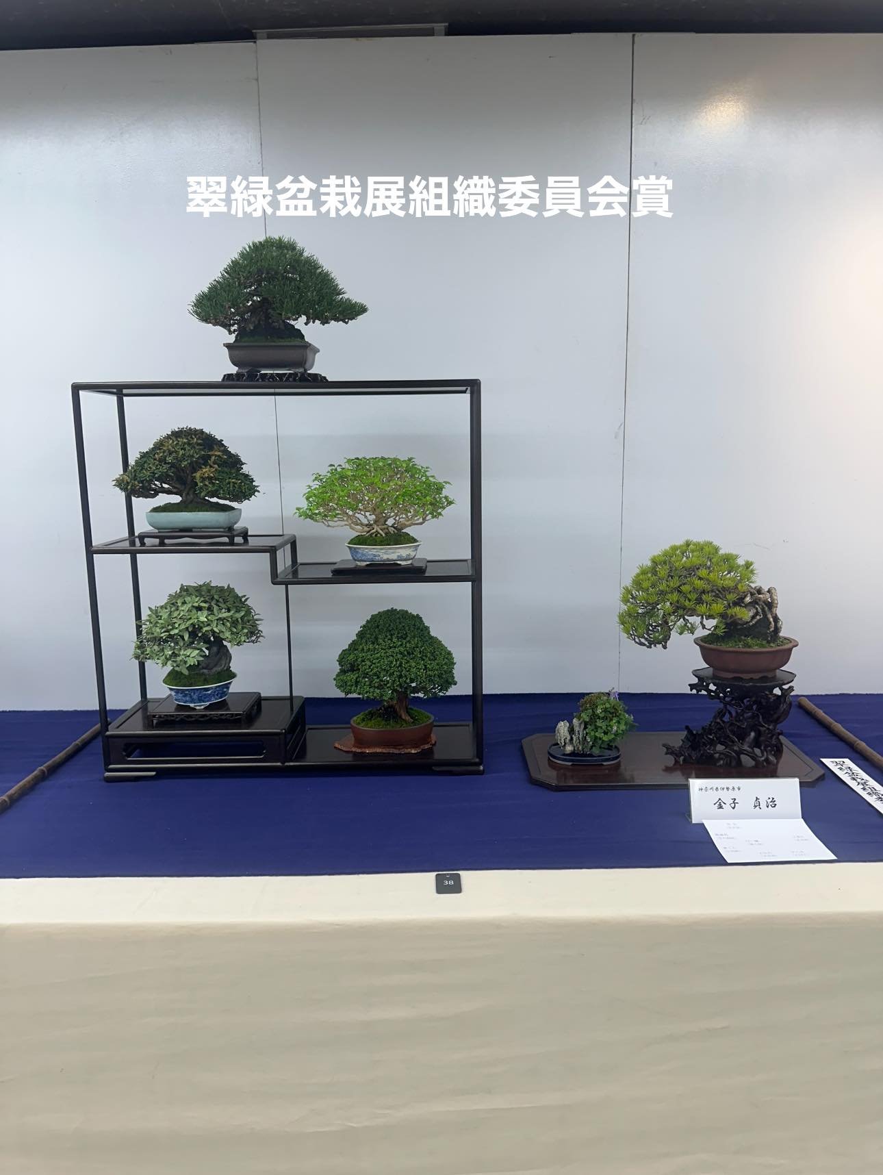 日本小品盆栽協同組合 (@japan.shohinbonsai) • Facebook