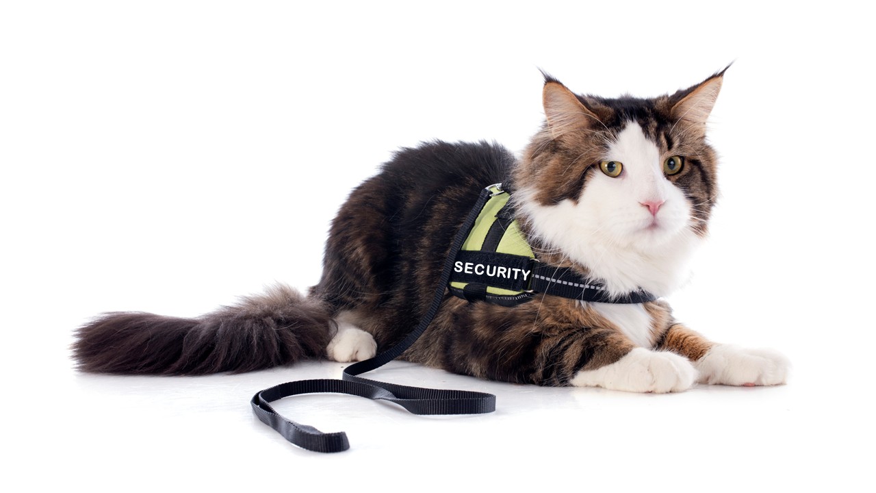 Security - SLED is seeking industry feedback to implement a new Class ...