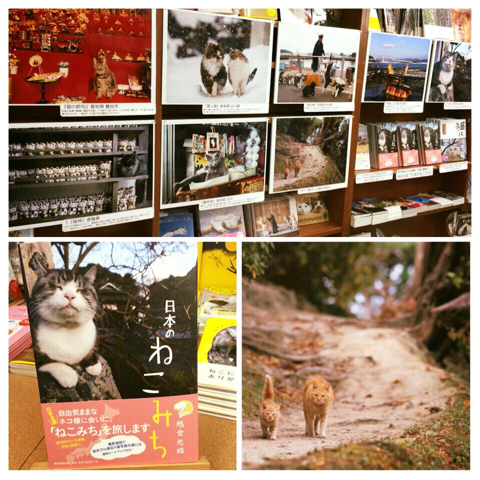 猫本専門 - 岩合光昭_写真集『日本のねこみち』(=^・^=) ～ねこみちと