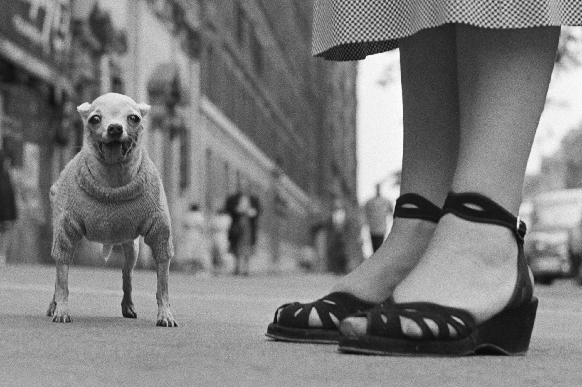 Magnum - New York, USA. 1950. © Elliott Erwitt / Magnum Photos