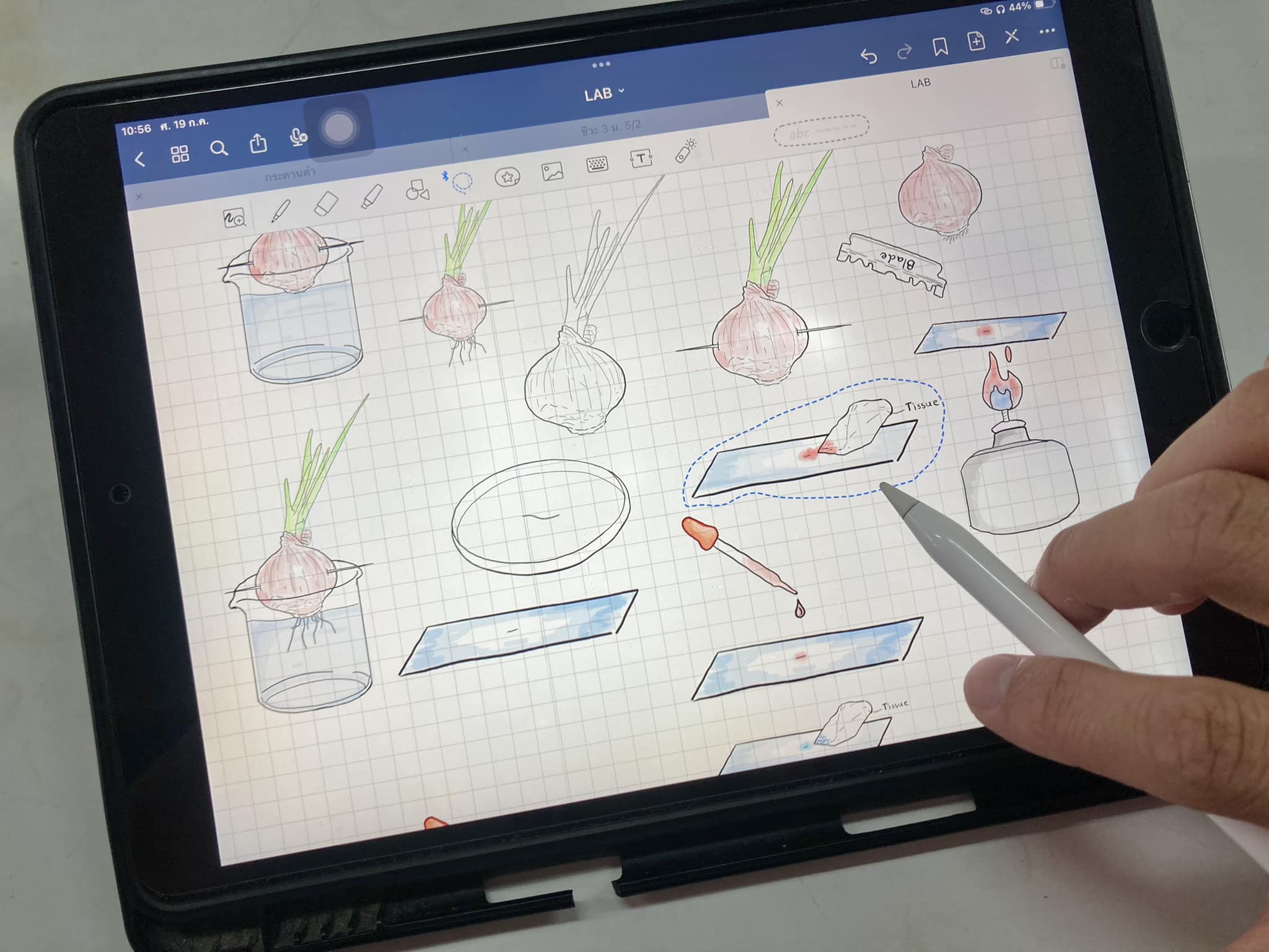 Bio หยาบ - 🔥 วาดรูปไว้วันหยุดนี้จะทำ Direction Lab แจก... | Facebook