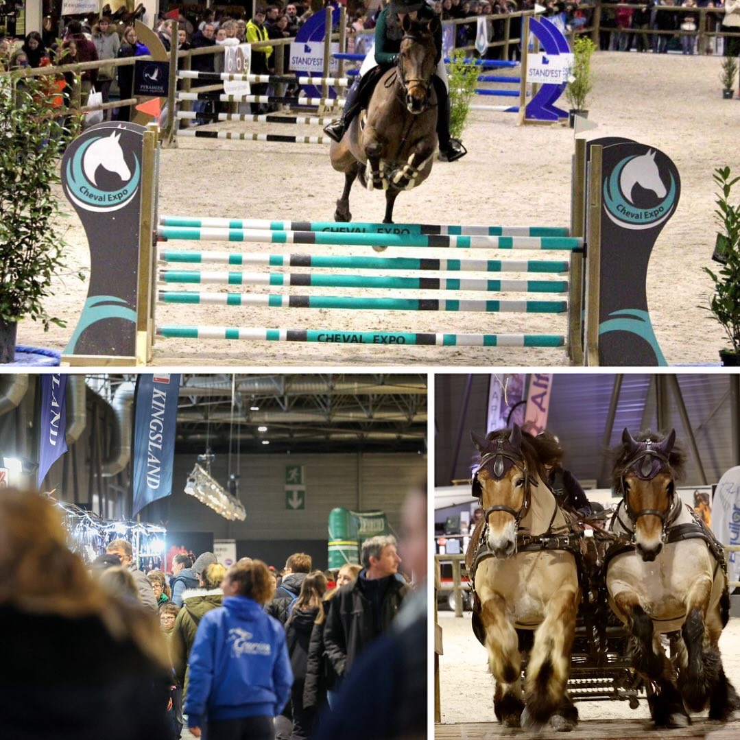 Cheval'Expo - 🚨 [Important] - Le Salon Cheval Expo 2025... | Facebook