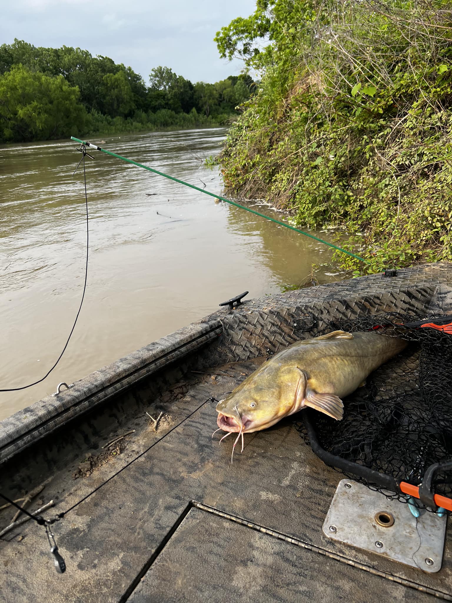 ditty pole fishing Bank Poles Green 6, 8, and 10 feet  Hook and Arrow Diddy Pole Season Has Begun!