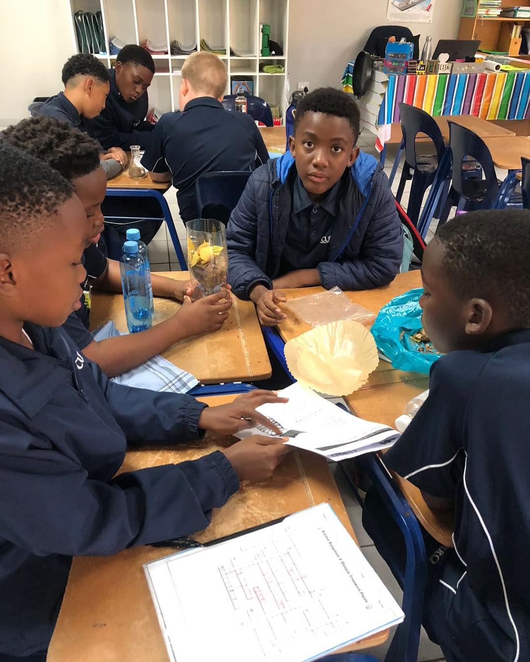 Curro Rivonia - Grade 6 Natural Science learners are... | Facebook