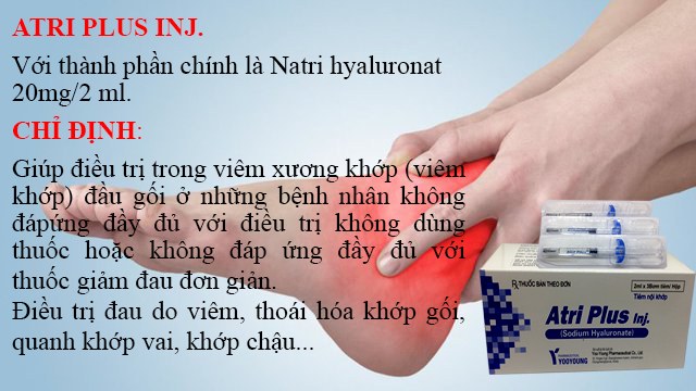 Dược phẩm Nam Đồng Tân | Hanoi