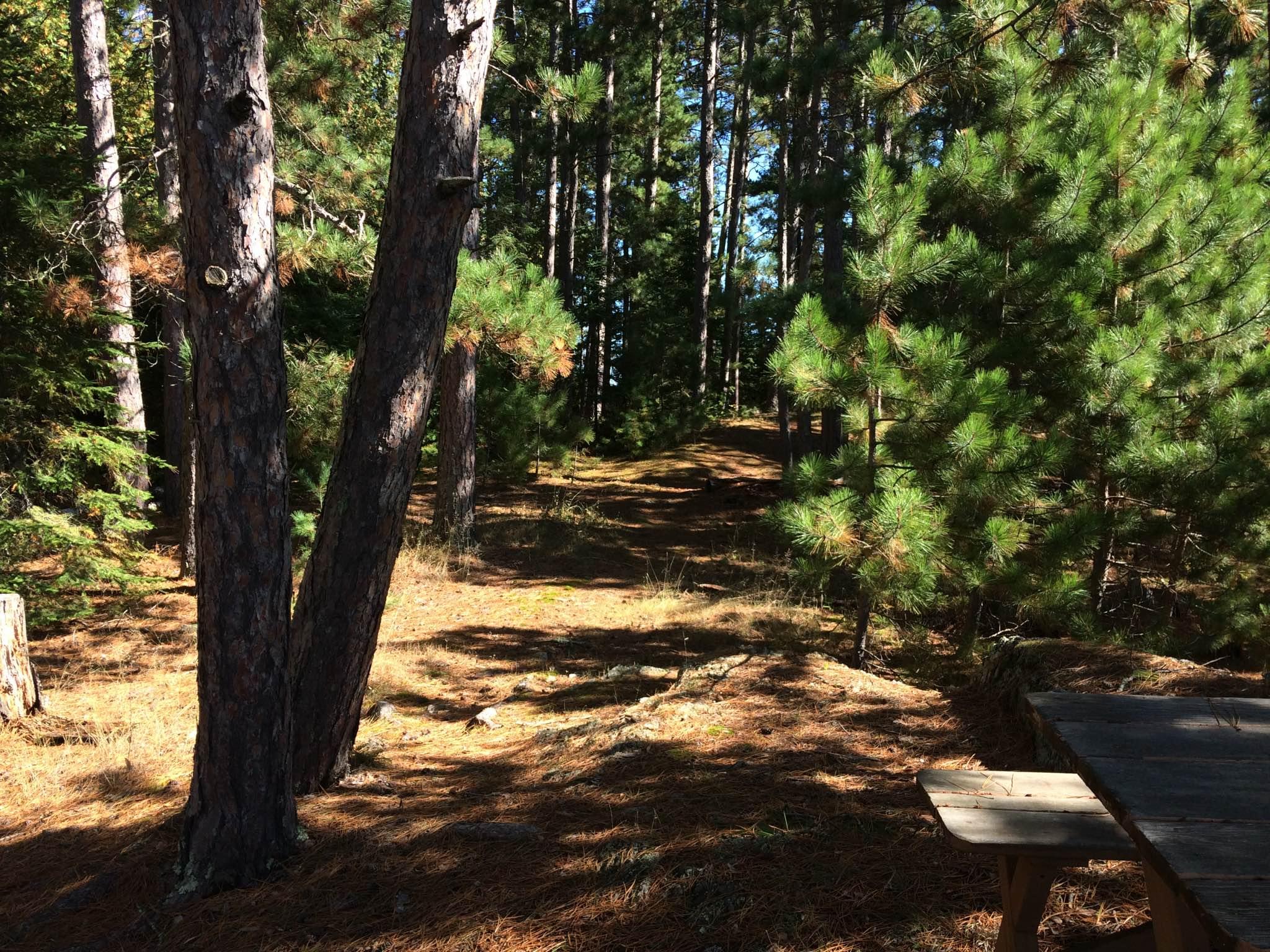 Lake Vermilion Building Lot Northern Minnesota Property For Sale
