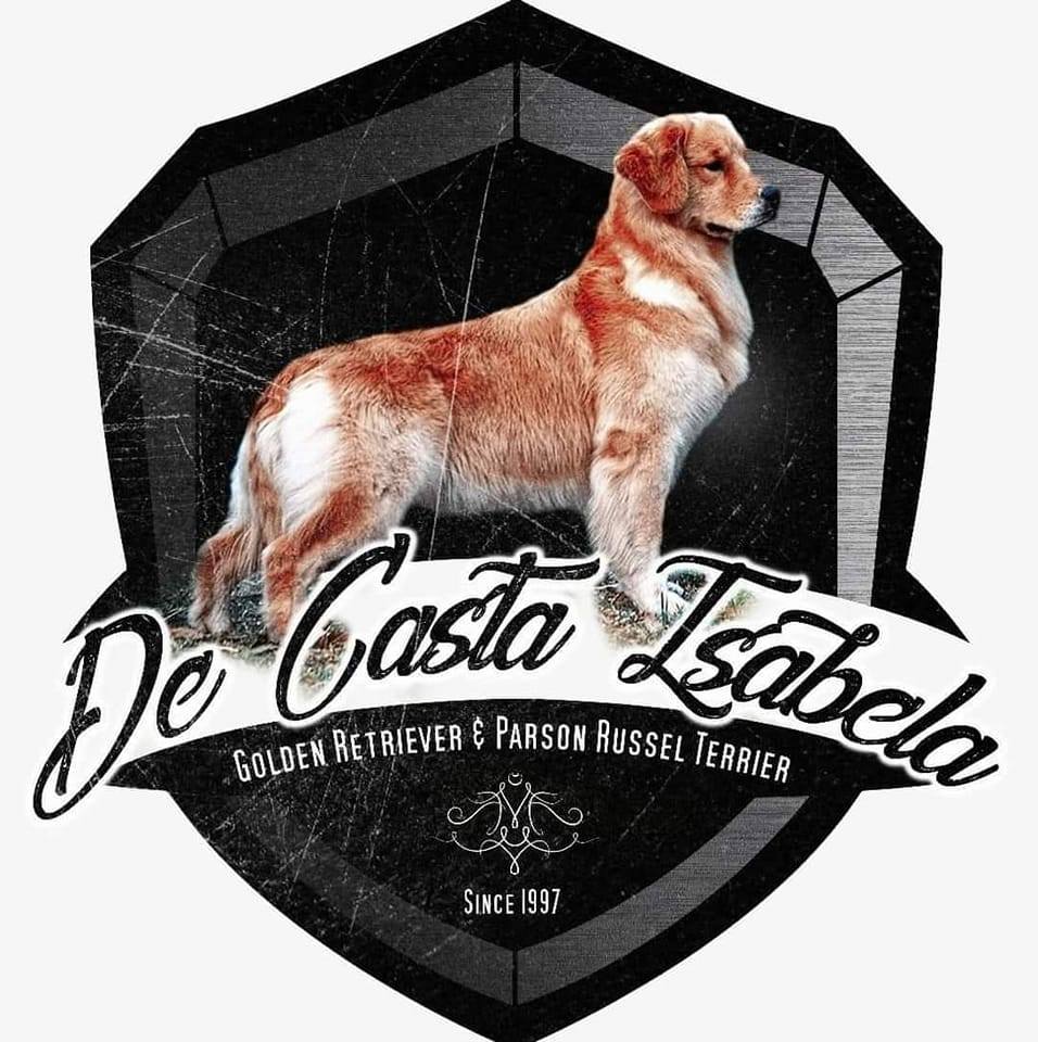 Golden D'casta Isabela on Reels