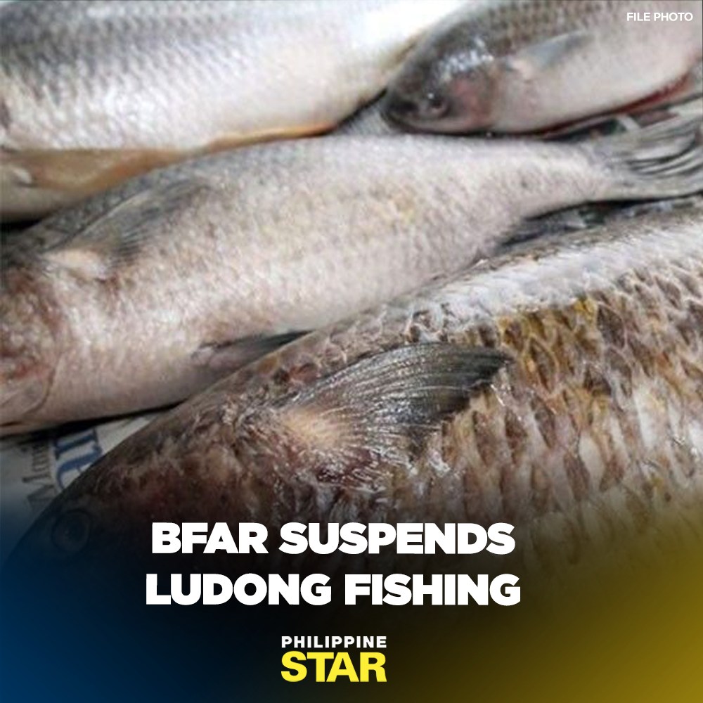 Philippine Star - The Bureau of Fisheries and Aquatic... | Facebook