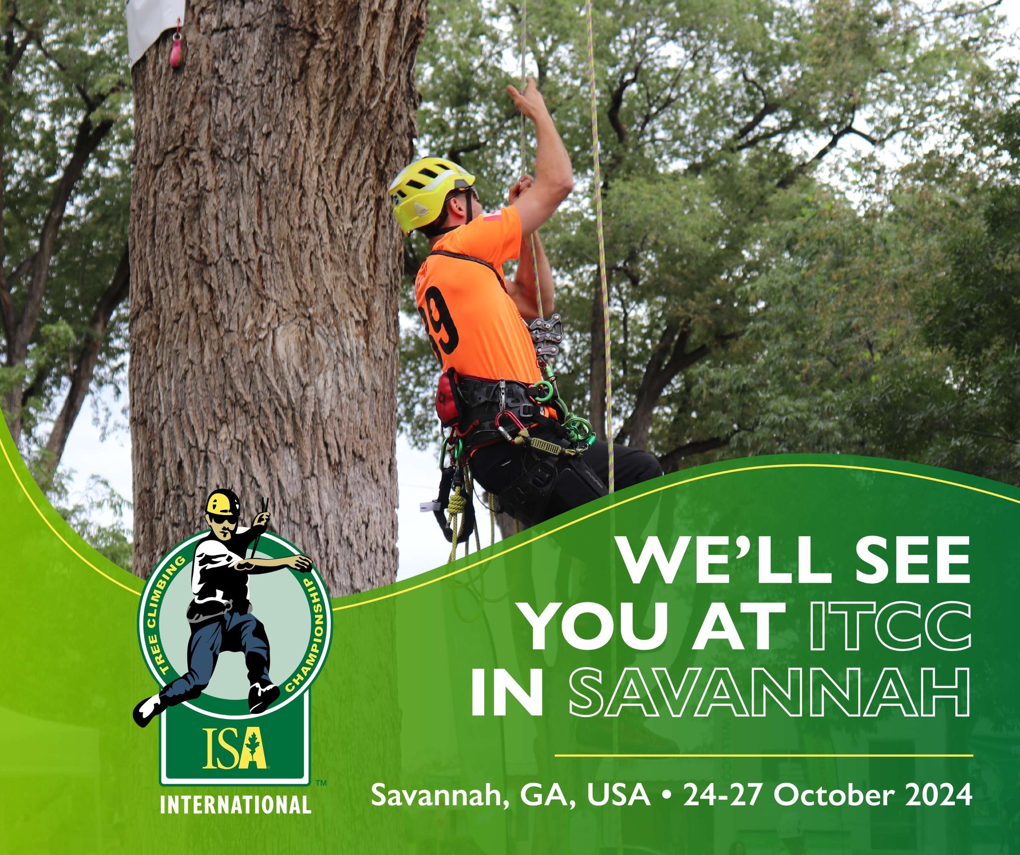UK & Ireland Tree Climbing Competitions